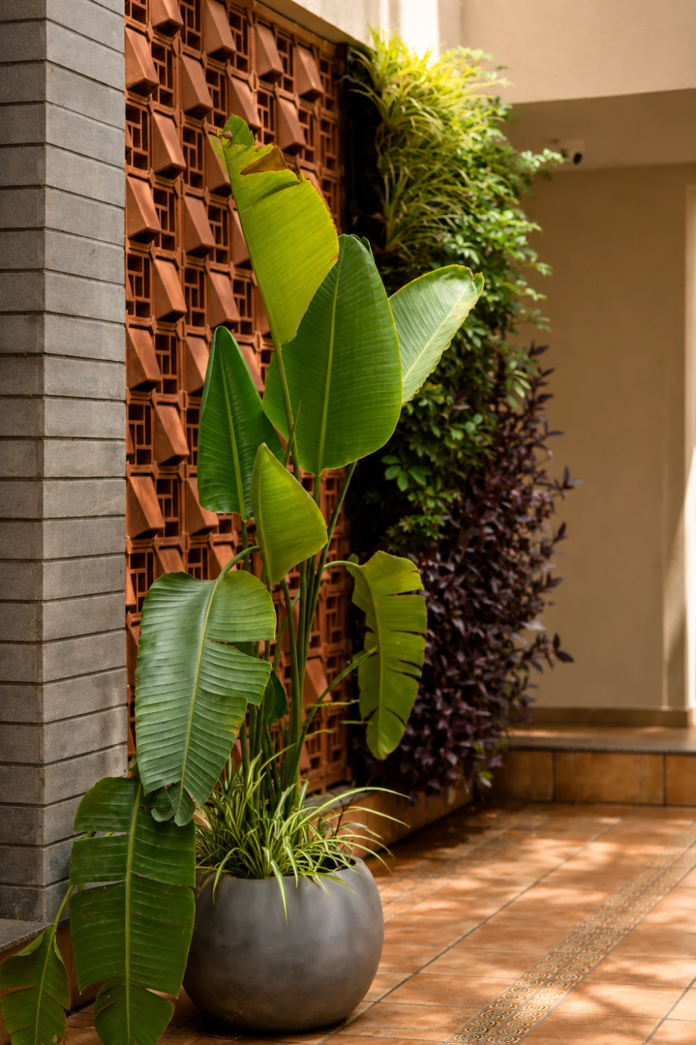 Niram gallery image 11