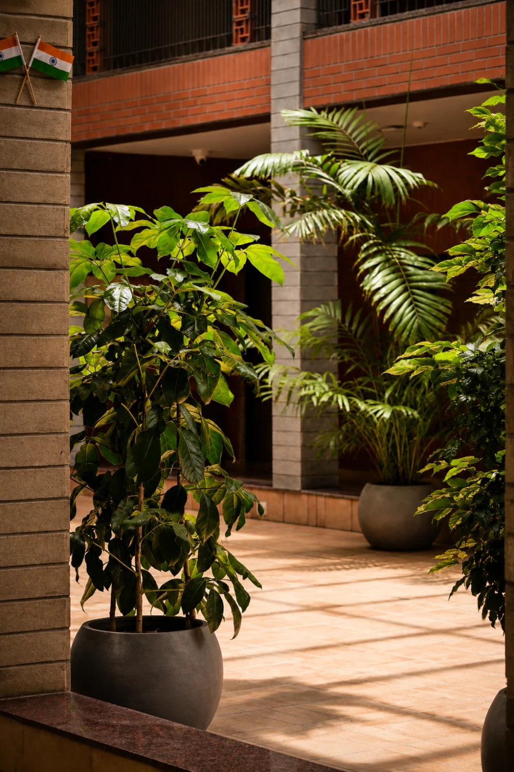 Niram gallery image 12