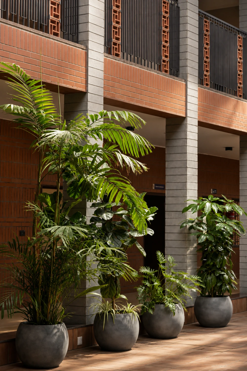 Niram gallery image 6